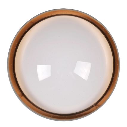 LED-kattovalaisin TULUZA LED/24W/230V halkaisija 40 cm ruskea