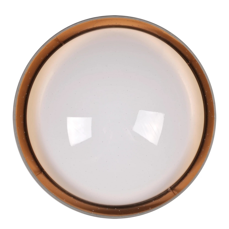 LED-kattovalaisin TULUZA LED/24W/230V halkaisija 40 cm ruskea