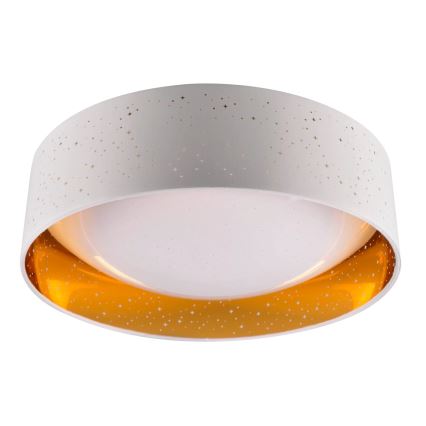 LED-kattovalaisin TULUZA LED/24W/230V halkaisija 40 cm valkoinen