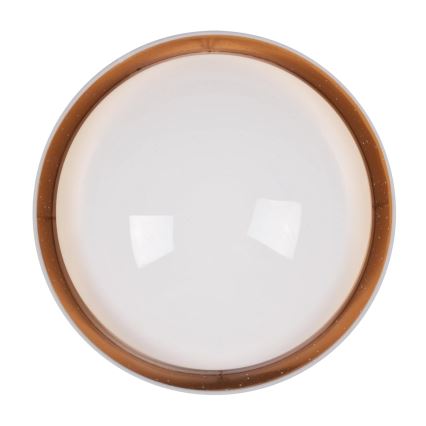 LED-kattovalaisin TULUZA LED/24W/230V halkaisija 40 cm valkoinen