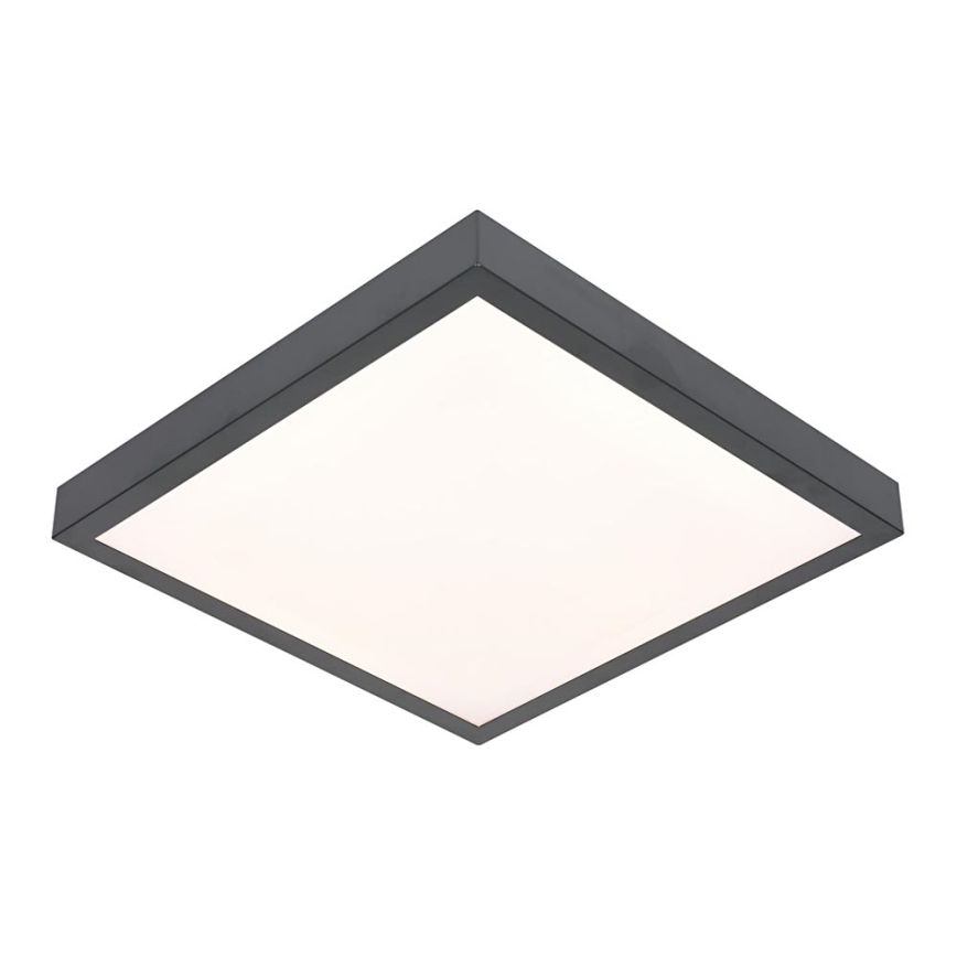 LED-kattovalaisin VITALI LED/24W/230V