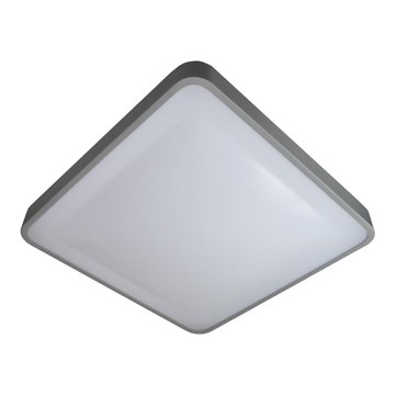 LED-kattovalaisin WILTON LED/24W/230V 37,5x37,5 cm harmaa