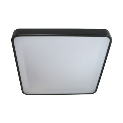 LED-kattovalaisin WILTON LED/24W/230V 37,5x37,5 cm antrasiitti