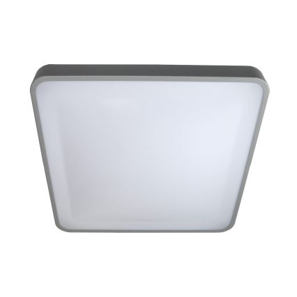 LED-kattovalaisin WILTON LED/24W/230V 37,5x37,5 cm harmaa