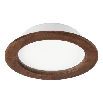 LED Kattovalaisin WOODY SPOT LED/16,5W/230V 4000K kirsikka ? 18,5 cm