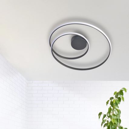 LED-kattovalaisin ZEFIRA LED/40W/230V 4000K halkaisija 50 cm antrasiitti