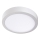 LED Kattovalo CARSA LED/24W/230V 4000K valkoinen d. 30 cm