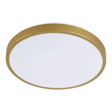 LED-kattovalo KERN LED/15W/230V d. 29 cm