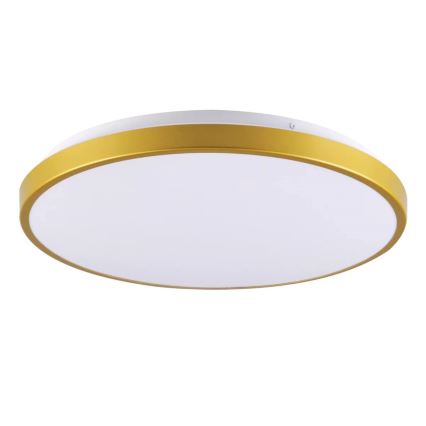 LED-kattovalo KERN LED/15W/230V d. 29 cm