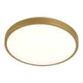 LED-kattovalo KERN LED/24W/230V d. 39 cm
