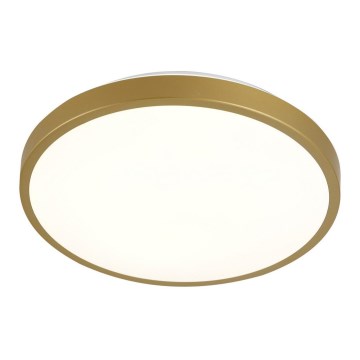 LED-kattovalo KERN LED/24W/230V d. 39 cm