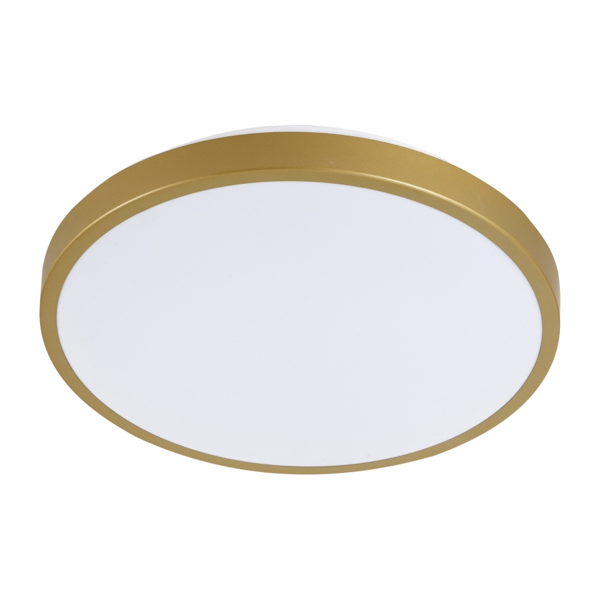 LED-kattovalo KERN LED/24W/230V d. 39 cm