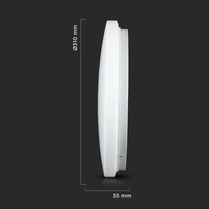 LED Kattovalo LED/18W/230V 31 cm 3000K/4000K/6400K
