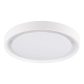 LED-kattovalo PERSE LED/15W/230V valkoinen