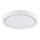 LED-kattovalo PERSE LED/15W/230V valkoinen