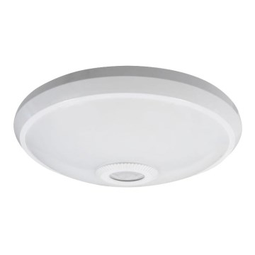 LED Kattovalo sensorilla LED/12W/230V