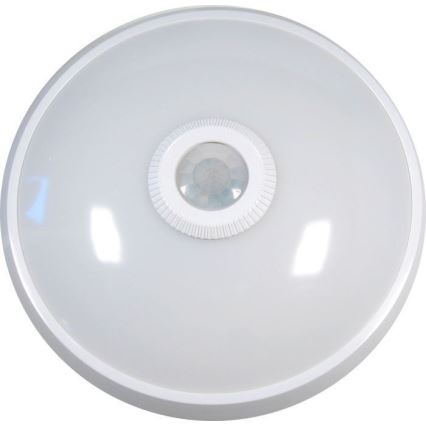 LED Kattovalo sensorilla LED/12W/230V