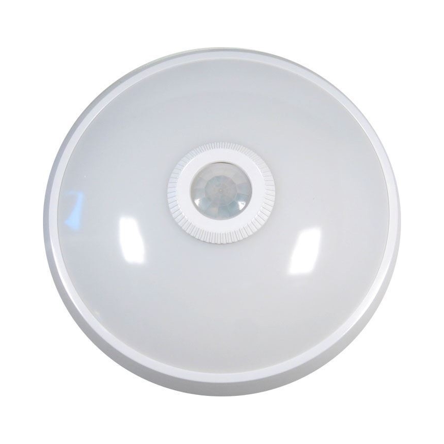 LED Kattovalo sensorilla LED/12W/230V