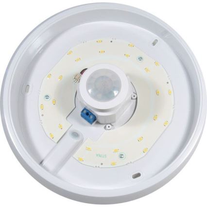 LED Kattovalo sensorilla LED/12W/230V
