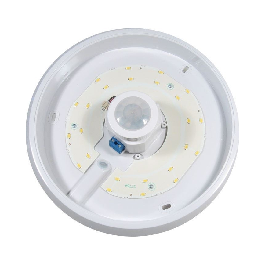 LED Kattovalo sensorilla LED/12W/230V