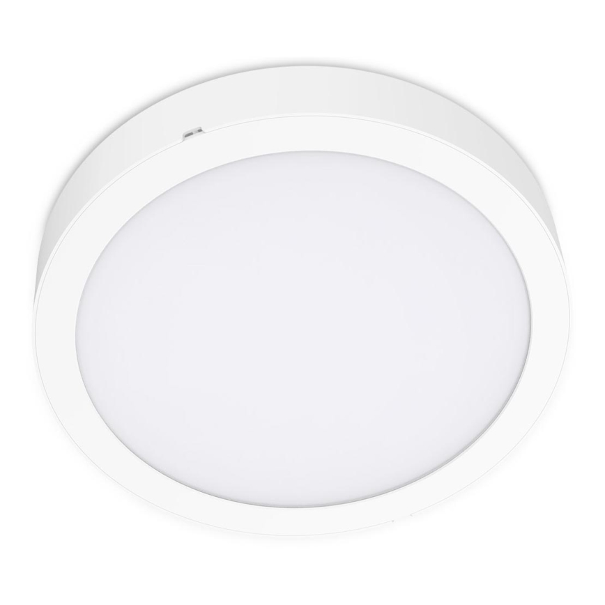 LED Kattovalo SIGARO CIRCLE LED/24W/230V 4000K IP40