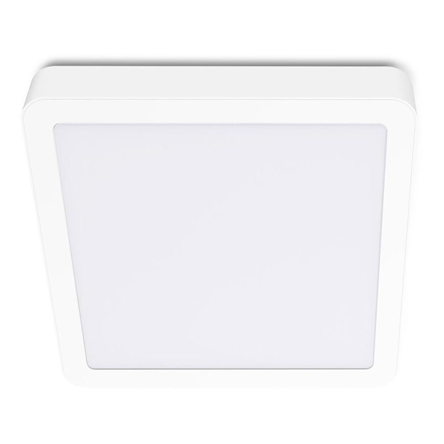 LED Kattovalo SIGARO SQUARE LED/18W/230V 4000K IP40