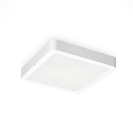 LED Kattovalo SIGARO SQUARE LED/24W/230V 4000K IP40
