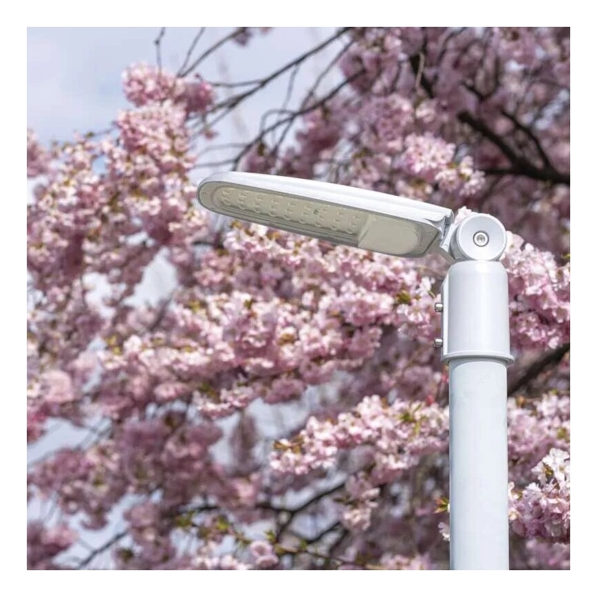 LED-katuvalo SOLIS LED/30W/230V 3000K IP65
