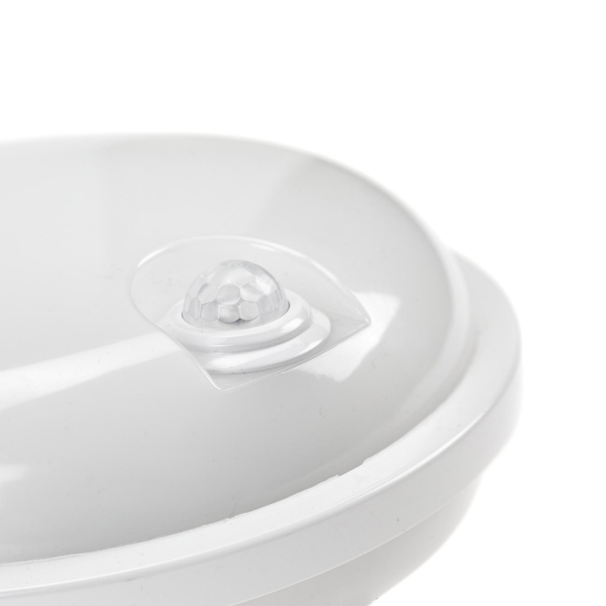 LED-kestävä valo PIR-anturilla LED / 20W / 230V IP54