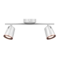 LED-kohdevalaisin 2xLED/5W/230V 3000K valkoinen