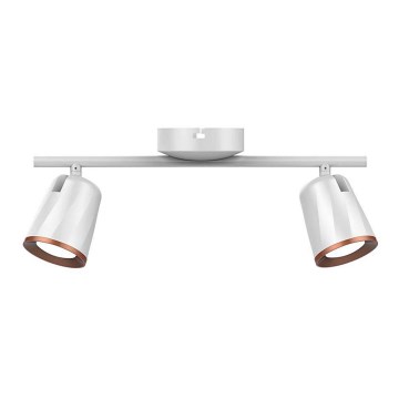 LED-kohdevalaisin 2xLED/5W/230V 3000K valkoinen
