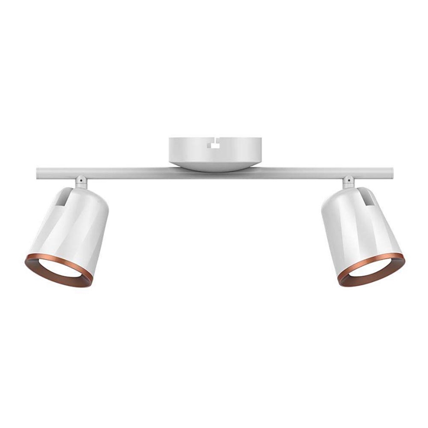 LED-kohdevalaisin 2xLED/5W/230V 3000K valkoinen