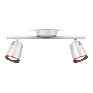 LED-kohdevalaisin 2xLED/6W/230V