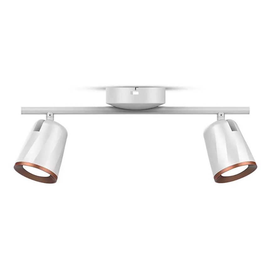 LED-kohdevalaisin 2xLED/6W/230V