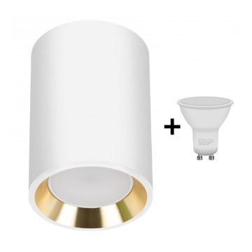 LED-kohdevalaisin CHLOE 1xGU10/6W/230V pyöreä valkoinen/kulta