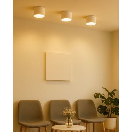 LED-kohdevalaisin LED/10W/230V 3000/4000/6400K halkaisija 12 cm valkoinen