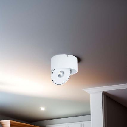LED Joustava kohdevalo LED/20W/230V 3000/4000/6400K CRI 90 valkoinen