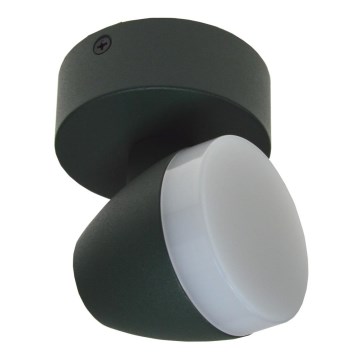 LED-kohdevalaisin SURMUR LED/6W/230V vihreä