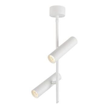 LED-kohdevalaisin TUBA 2xLED/10W/230V valkoinen