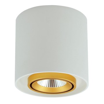 LED-kohdevalaisin XENO LED/15W/230V valkoinen 1200lm