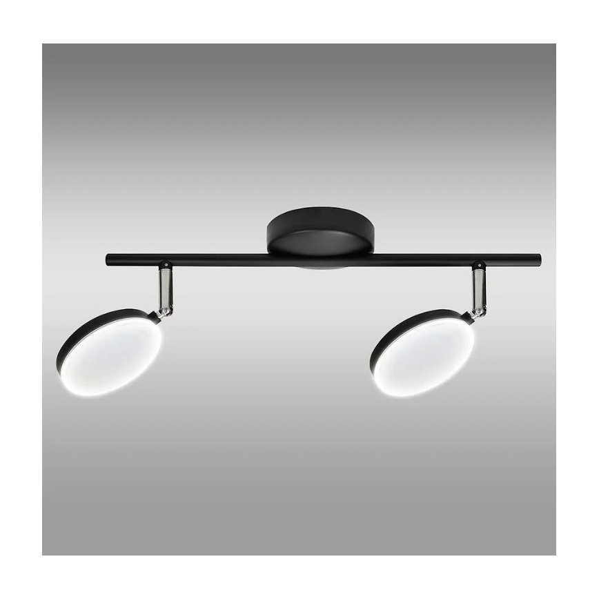 LED Kohdevalo CAPRI 2xLED/5W/230V