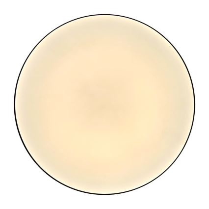 LED Kylpyhuoneen kattovalaisin MOON LED/18W/230V musta IP44