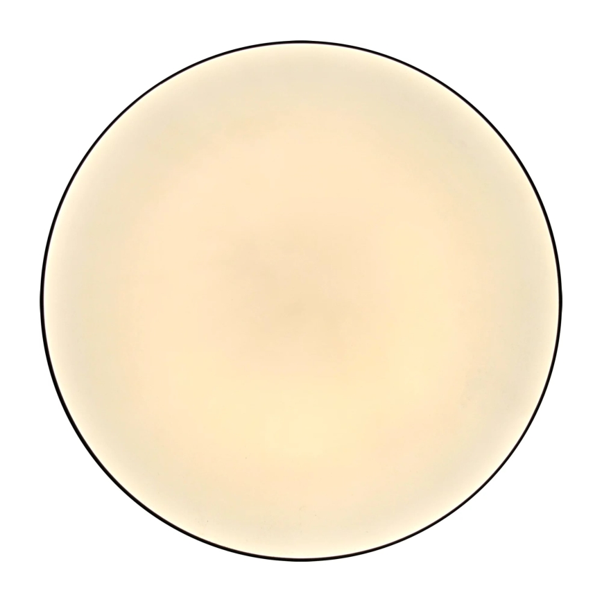 LED Kylpyhuoneen kattovalaisin MOON LED/18W/230V musta IP44