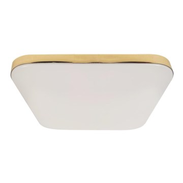 LED Kylpyhuoneen kattovalaisin NEMO LED/17W/230V IP44 kulta