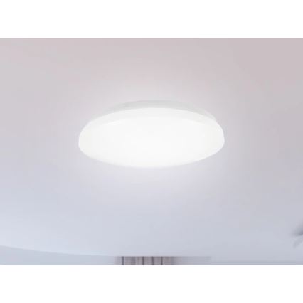 LED-kylpyhuoneen kattovalaisin OPAL, 12 W, 230 V, Ø 24,5 cm, IP44, valkoinen