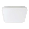 LED Kylpyhuoneen kattovalaisin SAMSUNG CHIP LED/24W/230V IP44 6500K 29x29 cm valkoinen