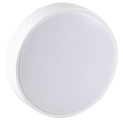 LED Kylpyhuoneen kattovalo RENE LED/15W/230V IP44 valkoinen