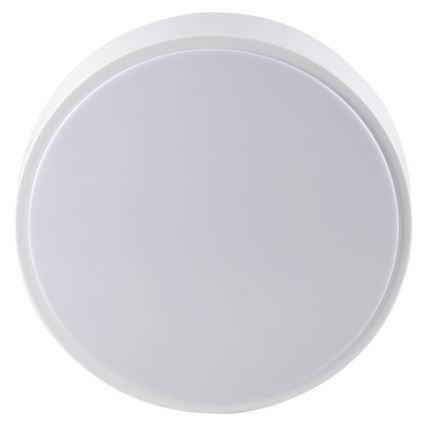 LED Kylpyhuoneen kattovalo RENE LED/15W/230V IP44 valkoinen
