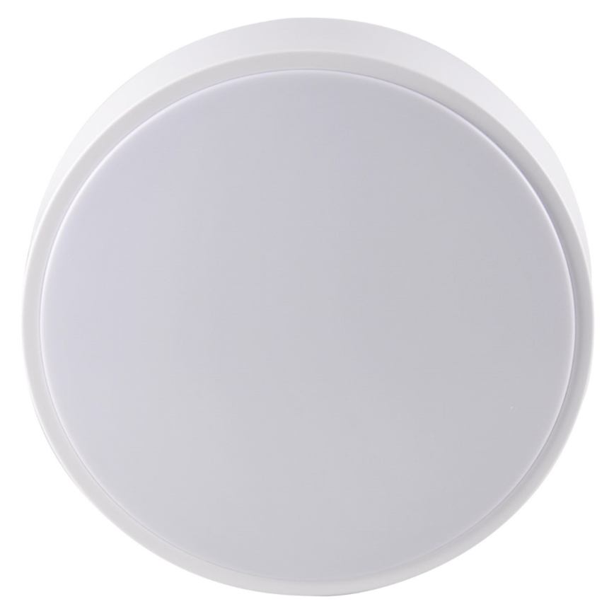 LED Kylpyhuoneen kattovalo RENE LED/15W/230V IP44 valkoinen