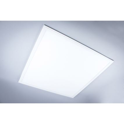 LED-kylpyhuonepaneeli LED/40W/230V 4000K 59,5x59,5 cm IP65 valkoinen